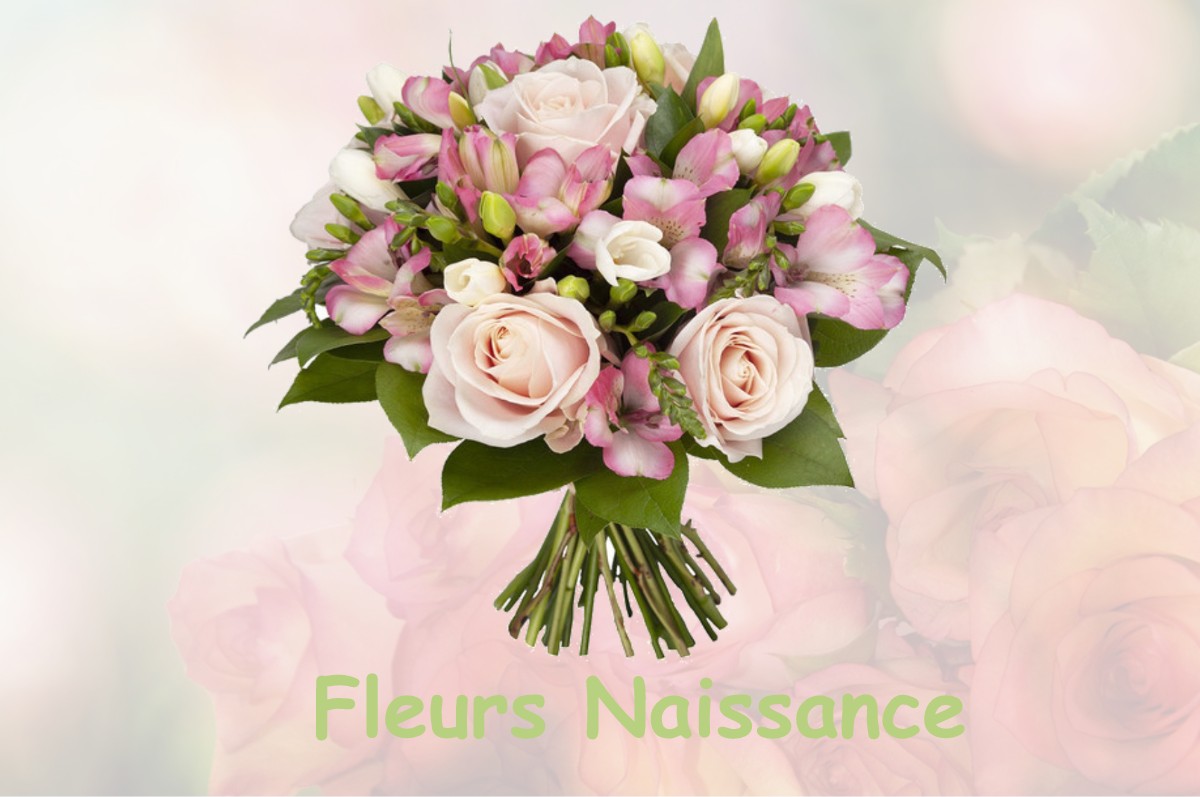 fleurs naissance SAIZENAY