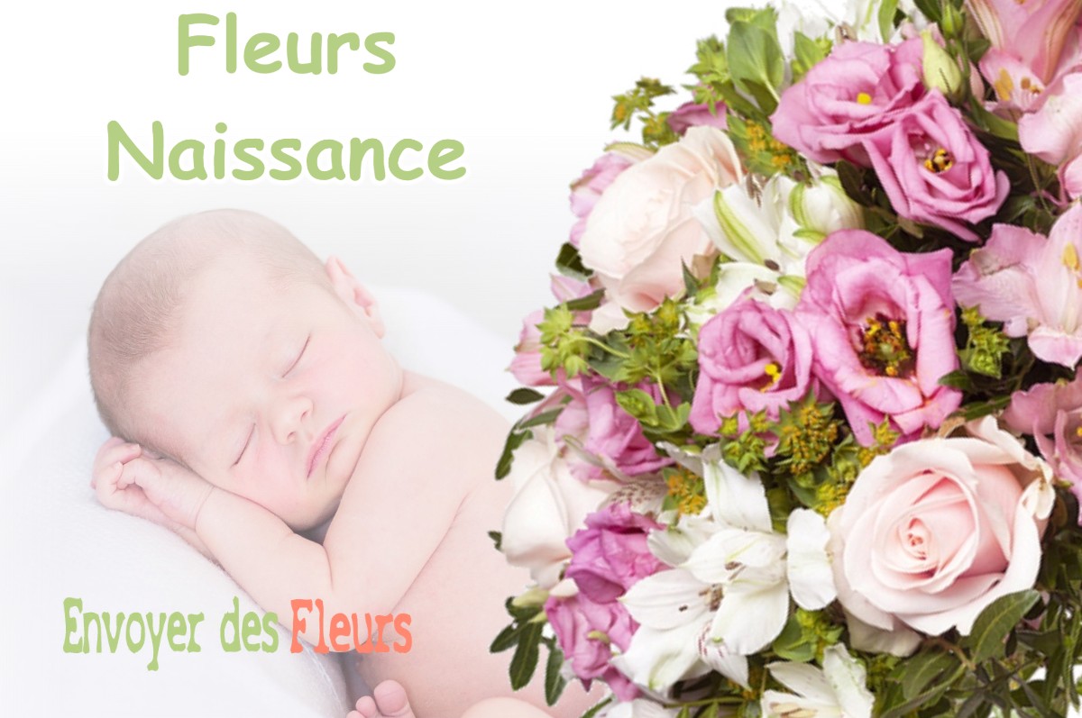 lIVRAISON FLEURS NAISSANCE à SAIZENAY